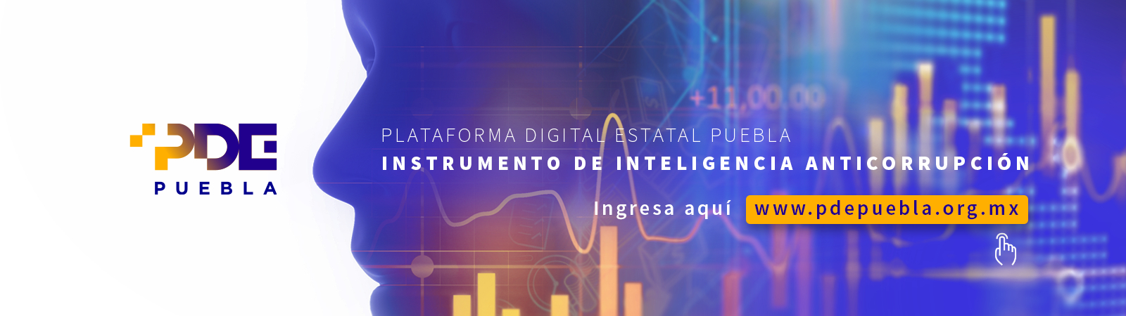 Plataforma Digital Estatal